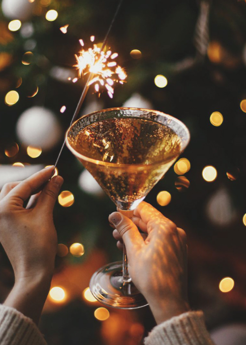 Fruske Terme, Banja Vrdnik